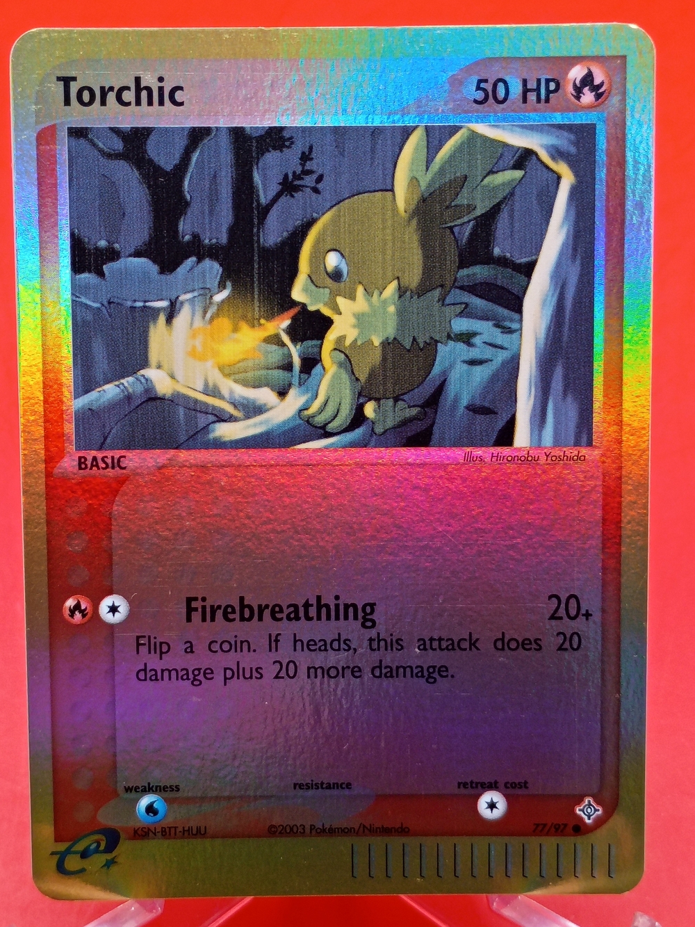 Torchic 77/97 EX Dragon e-Reader Series Reverse Holo Near Mint Pokémon TCG